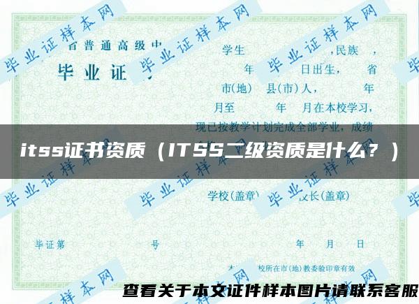itss證書資質（ITSS二級資質是什么？）