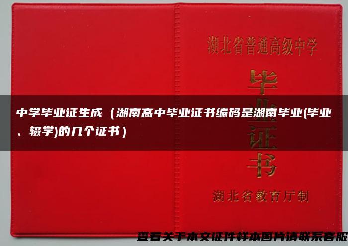 中學畢業證生成（湖南高中畢業證書編碼是湖南畢業(畢業、輟學)的幾個證書）