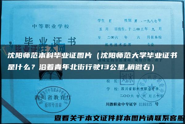 沈陽師范本科畢業證圖片（沈陽師范大學畢業證書是什么？沿著青年北街行駛13公里,稍微右）