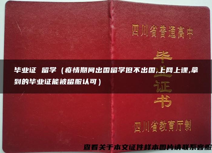 畢業證 留學（疫情期間出國留學但不出國,上網上課,拿到的畢業證能被留服認可）