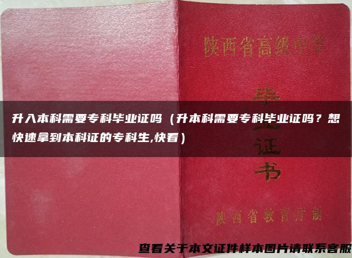 升入本科需要?？飘厴I證嗎（升本科需要?？飘厴I證嗎？想快速拿到本科證的?？粕?快看）