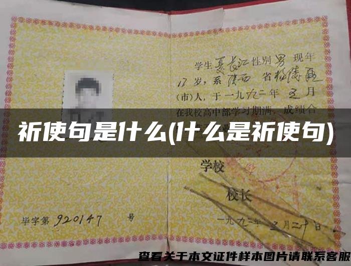 祈使句是什么(什么是祈使句)