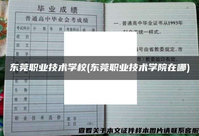 東莞職業技術學校(東莞職業技術學院在哪)