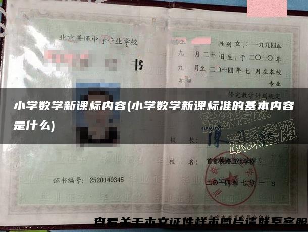 小學數學新課標內容(小學數學新課標準的基本內容是什么)