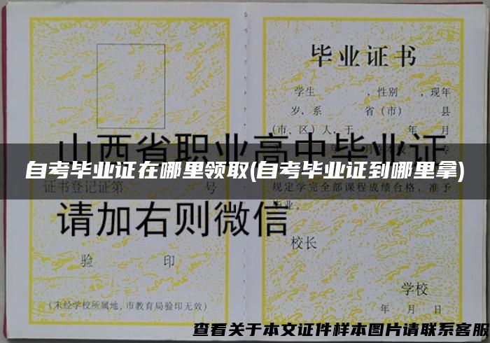 自考畢業證在哪里領取(自考畢業證到哪里拿)