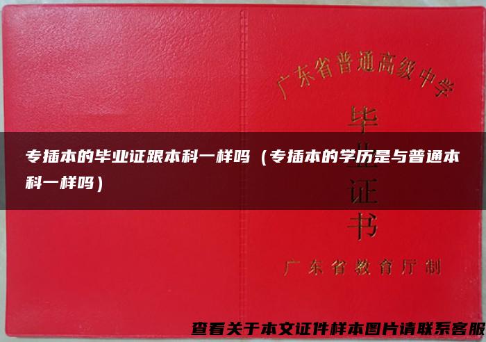 專插本的畢業證跟本科一樣嗎（專插本的學歷是與普通本科一樣嗎）