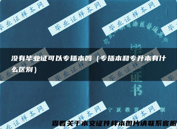 沒有畢業證可以專插本嗎（專插本和專升本有什么區別）