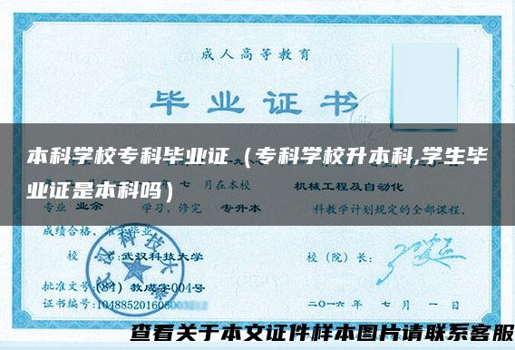 本科學校?？飘厴I證（?？茖W校升本科,學生畢業證是本科嗎）
