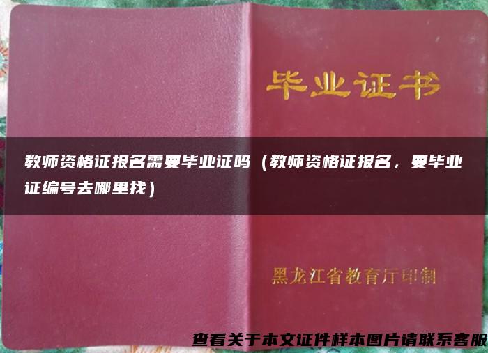 教師資格證報名需要畢業證嗎（教師資格證報名，要畢業證編號去哪里找）
