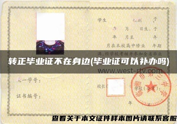轉正畢業證不在身邊(畢業證可以補辦嗎)