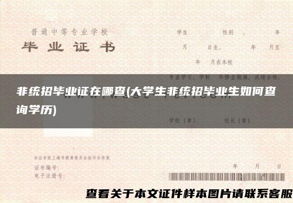 非統招畢業證在哪查(大學生非統招畢業生如何查詢學歷)
