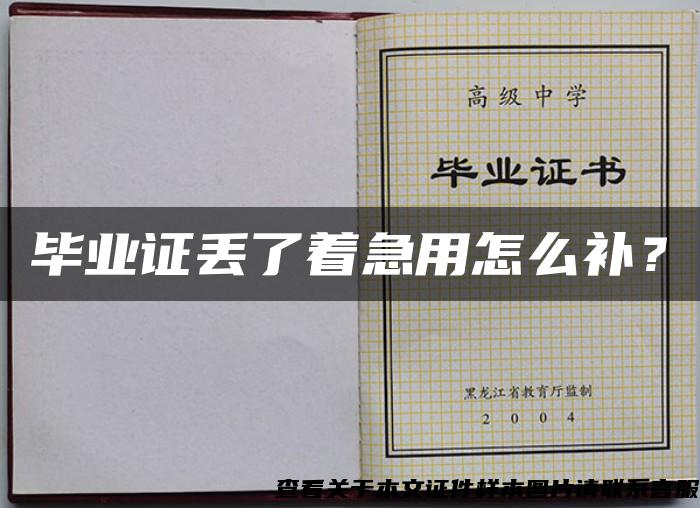 畢業證丟了著急用怎么補？