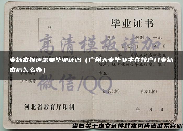 專插本報道需要畢業證嗎（廣州大專畢業生在校戶口專插本后怎么辦）