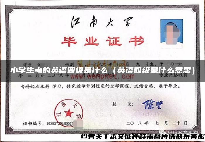 小學生考的英語四級是什么（英語四級是什么意思）