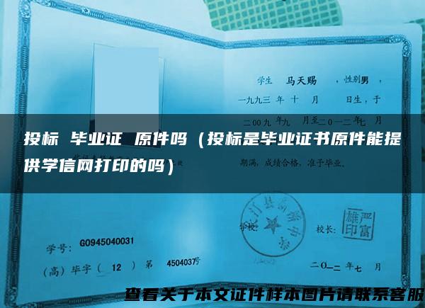 投標 畢業證 原件嗎（投標是畢業證書原件能提供學信網打印的嗎）