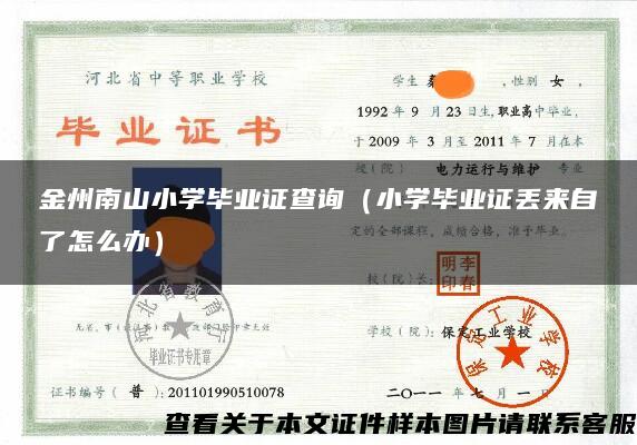 金州南山小學畢業證查詢（小學畢業證丟來自了怎么辦）