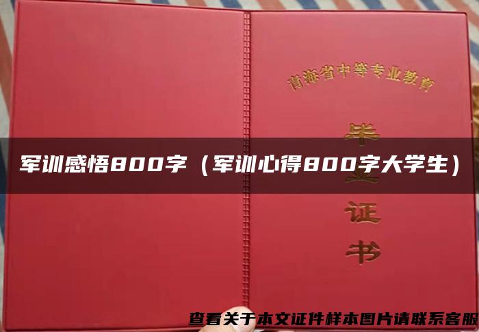 軍訓感悟800字（軍訓心得800字大學生）