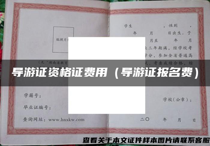 導游證資格證費用（導游證報名費）
