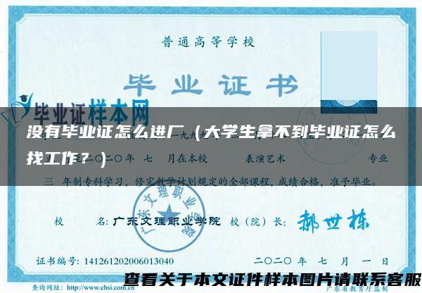 沒有畢業證怎么進廠（大學生拿不到畢業證怎么找工作？）
