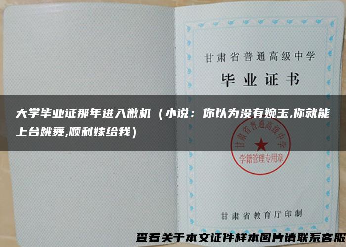 大學畢業證那年進入微機（小說：你以為沒有婉玉,你就能上臺跳舞,順利嫁給我）