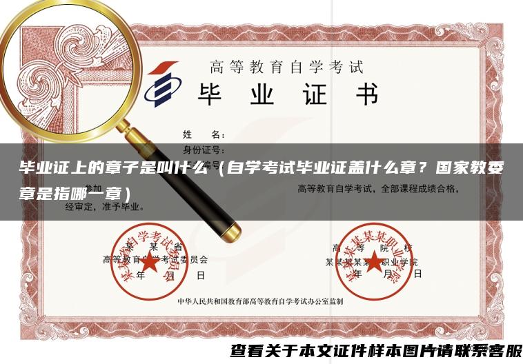 畢業證上的章子是叫什么（自學考試畢業證蓋什么章？國家教委章是指哪一章）