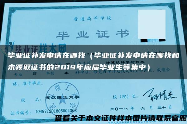 畢業證補發申請在哪找（畢業證補發申請在哪找和未領取證書的2019年應屆畢業生等集中）