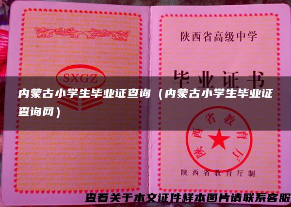 內蒙古小學生畢業證查詢（內蒙古小學生畢業證查詢網）