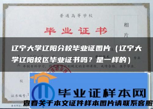 遼寧大學遼陽分校畢業證圖片（遼寧大學遼陽校區畢業證書嗎？是一樣的）