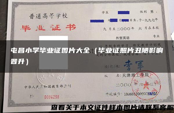 屯昌小學畢業證圖片大全（畢業證照片丑陋影響晉升）