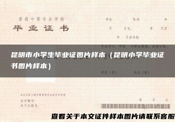 昆明市小學生畢業證圖片樣本（昆明小學畢業證書圖片樣本）