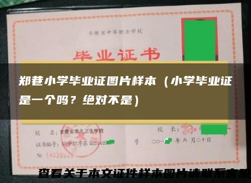 鄭巷小學畢業證圖片樣本（小學畢業證是一個嗎？絕對不是）