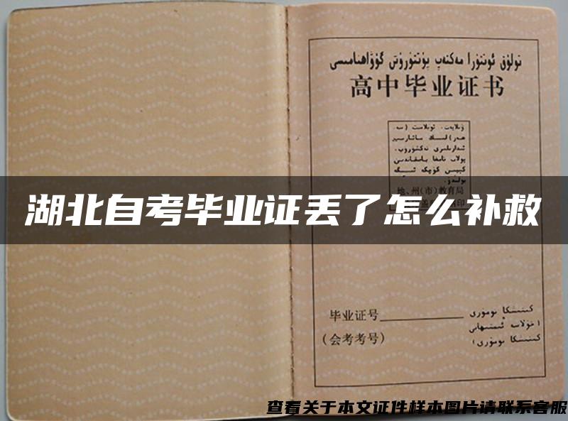 湖北自考畢業證丟了怎么補救
