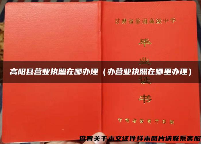 高陽縣營業執照在哪辦理（辦營業執照在哪里辦理）