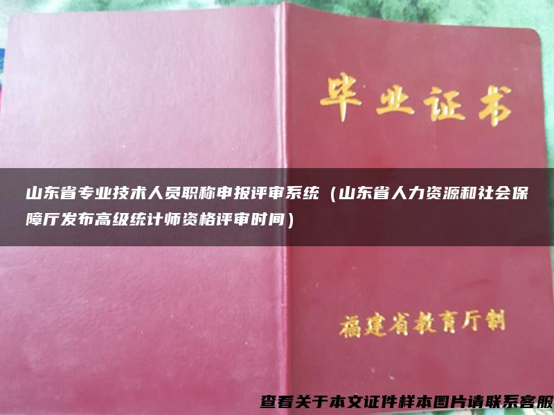 山東省專業技術人員職稱申報評審系統（山東省人力資源和社會保障廳發布高級統計師資格評審時間）