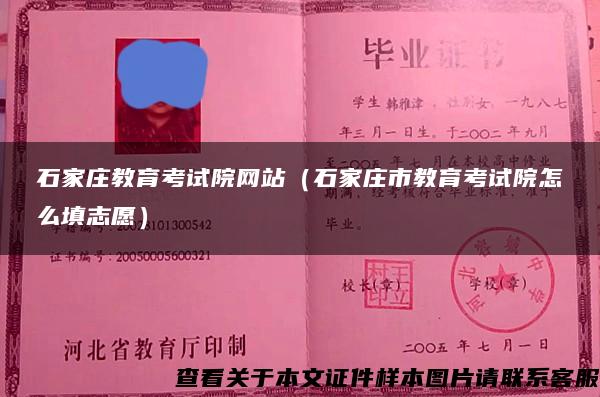石家莊教育考試院網站（石家莊市教育考試院怎么填志愿）