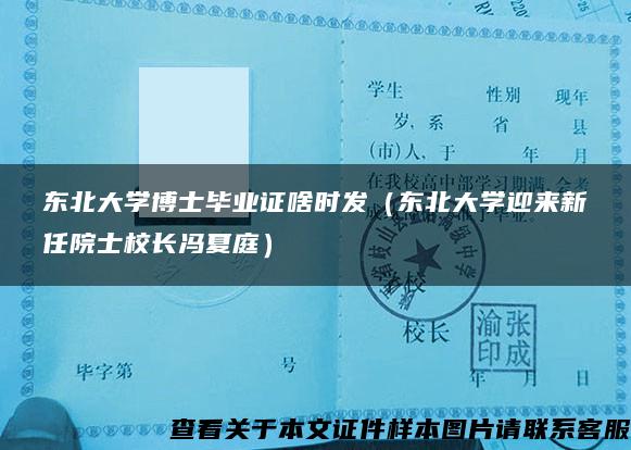 東北大學博士畢業證啥時發（東北大學迎來新任院士校長馮夏庭）