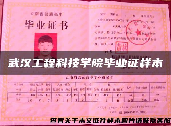 武漢工程科技學院畢業證樣本