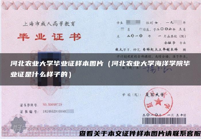 河北農業大學畢業證樣本圖片（河北農業大學海洋學院畢業證是什么樣子的）