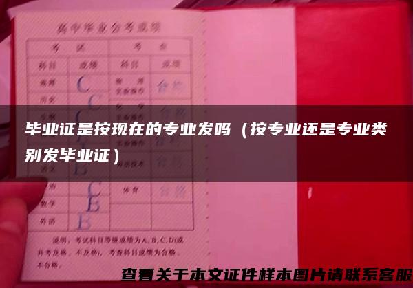 畢業證是按現在的專業發嗎（按專業還是專業類別發畢業證）