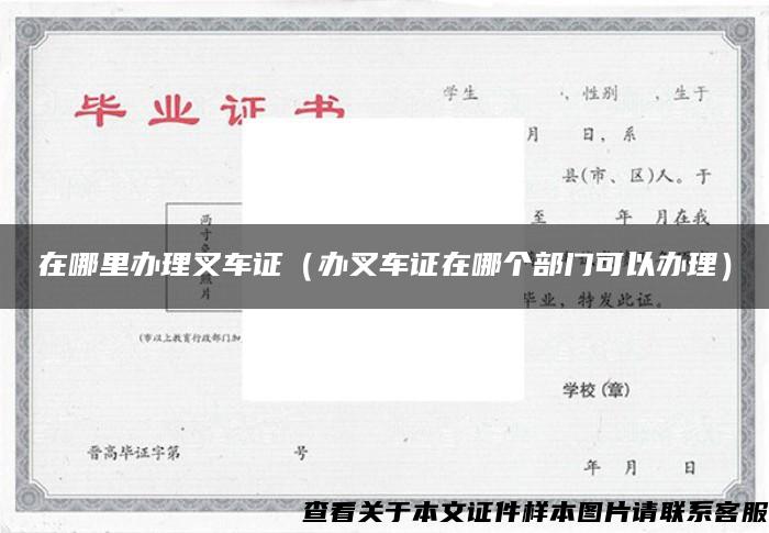 在哪里辦理叉車證（辦叉車證在哪個部門可以辦理）