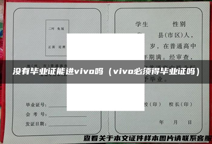 沒有畢業證能進vivo嗎（vivo必須得畢業證嗎）