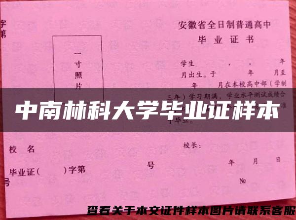 中南林科大學畢業證樣本