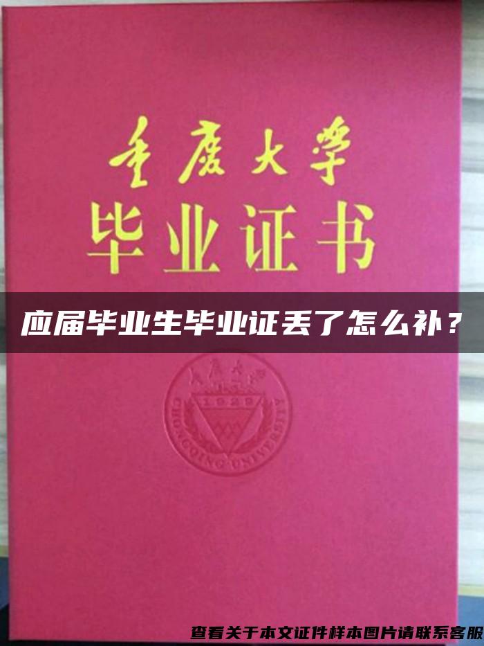 應屆畢業生畢業證丟了怎么補？