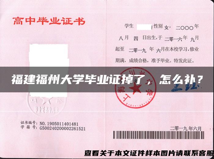 福建福州大學畢業證掉了，怎么補？