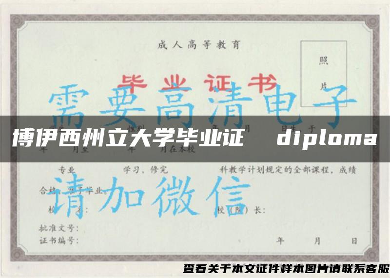 博伊西州立大學畢業證  diploma