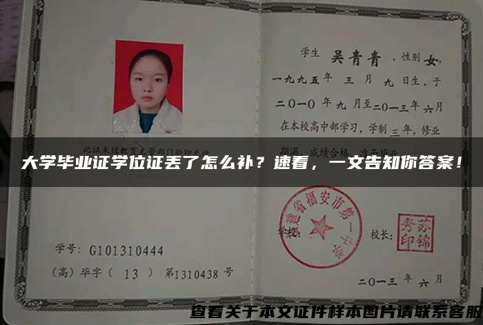 大學畢業證學位證丟了怎么補？速看，一文告知你答案！