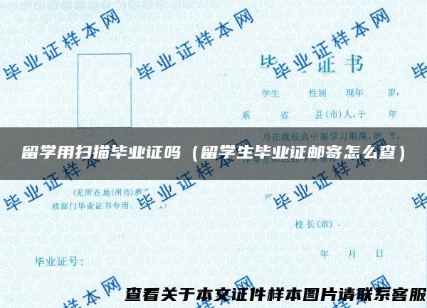 留學用掃描畢業證嗎（留學生畢業證郵寄怎么查）