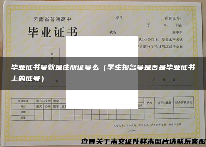 畢業證書號就是注冊證號么（學生報名號是否是畢業證書上的證號）