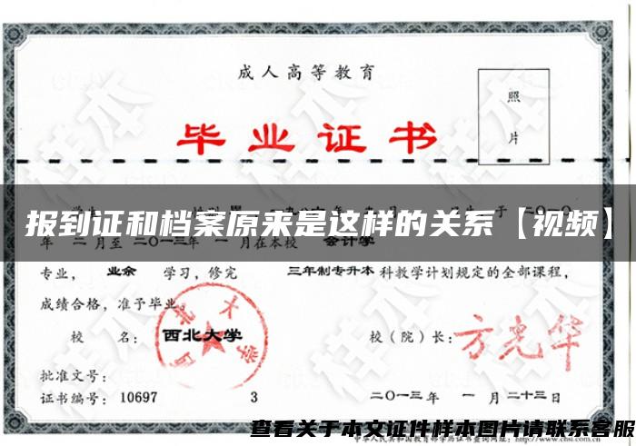 報到證和檔案原來是這樣的關系【視頻】