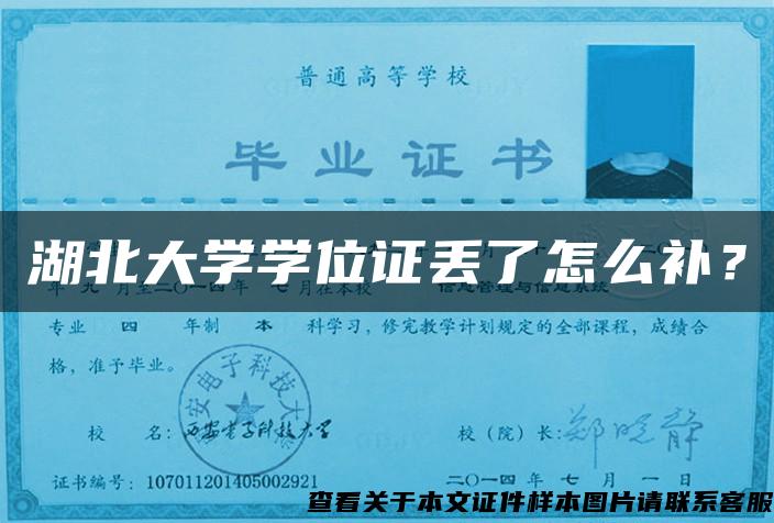 湖北大學學位證丟了怎么補？
